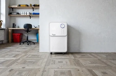 Wie wählt man einen Haushalts-Luftentfeuchter für zu Hause aus?